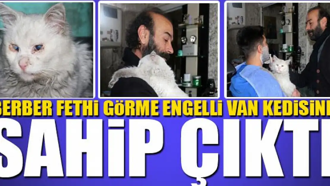 BERBER FETHİ GÖRME ENGELLİ VAN KEDİSİNE SAHİP ÇIKTI