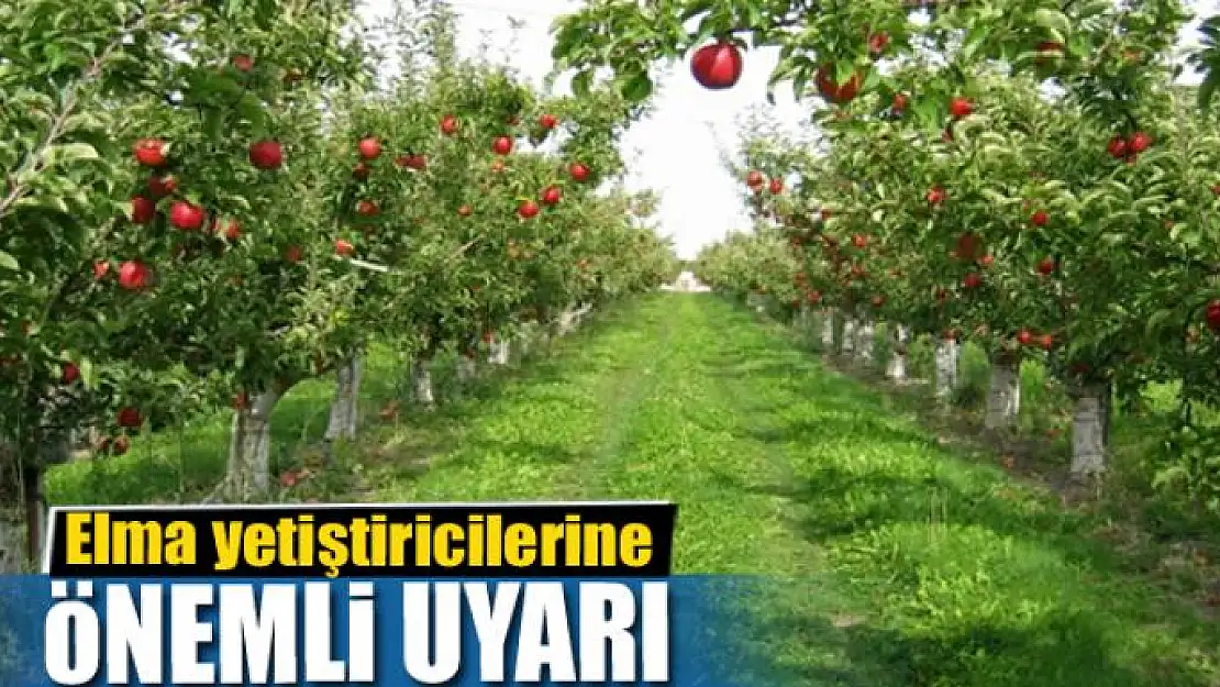 Elma yetiştiricilerine 'elma kurdu' uyarısı 