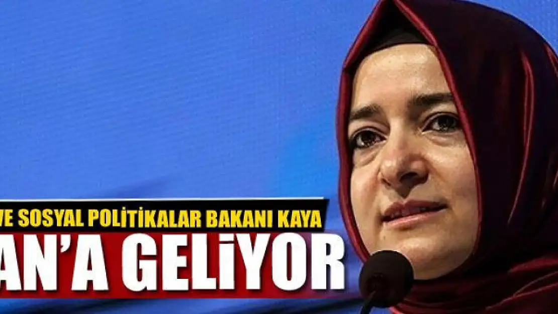 Bakan Kaya Van'a geliyor