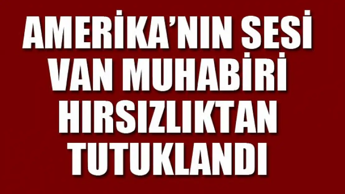 Amerika'nın Sesi Van muhabiri hırsızlıktan tutuklandı