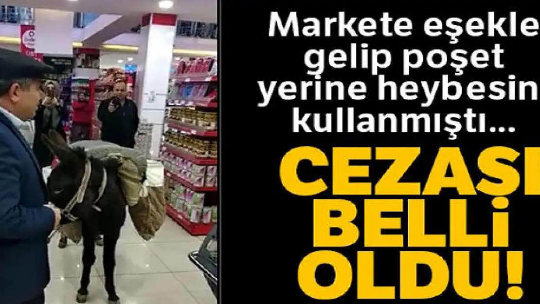 Markette eşekli protestoya 4 bin lira ceza