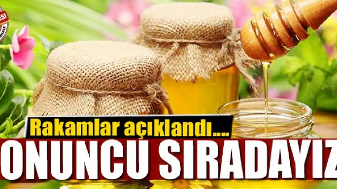 Van onuncu sırada