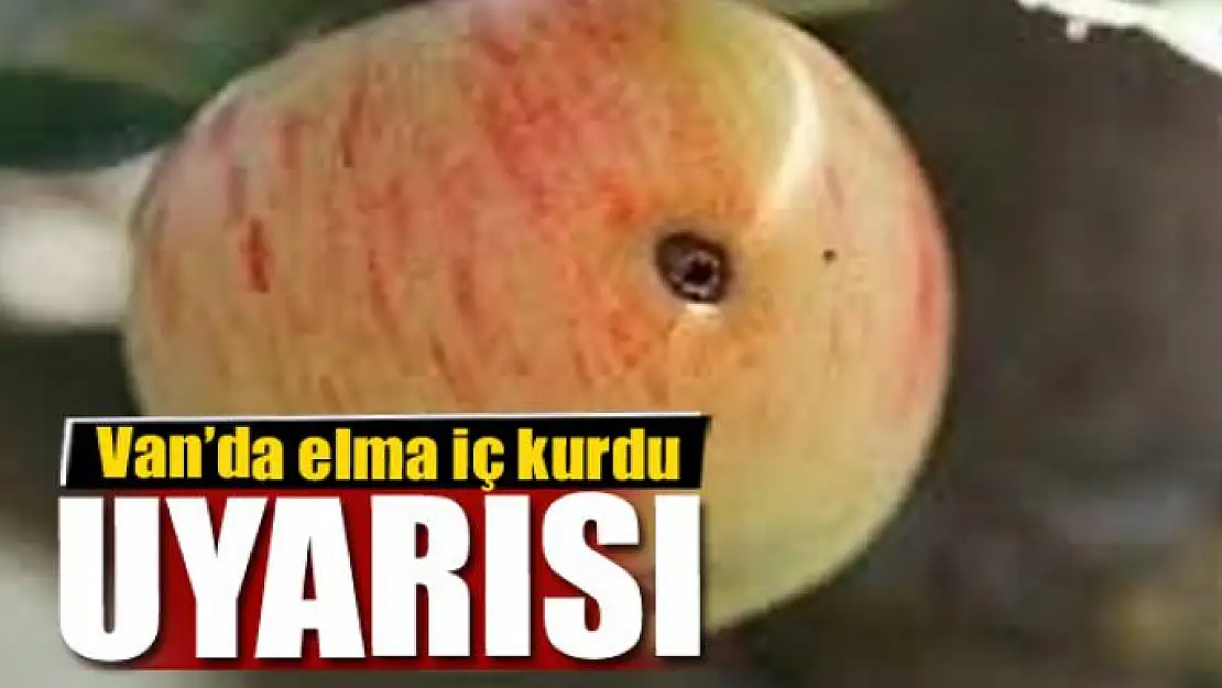 Van'da elma iç kurdu uyarısı