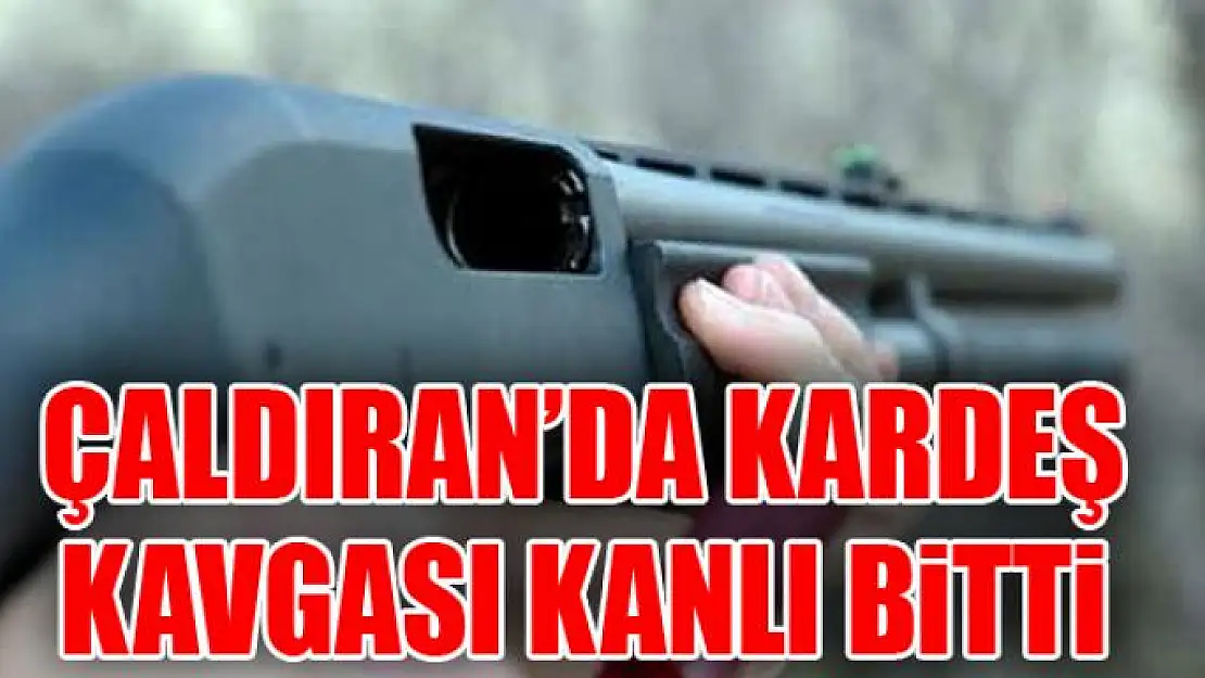 ÇALDIRAN'DA KARDEŞ KAVGASI KANLI BİTTİ