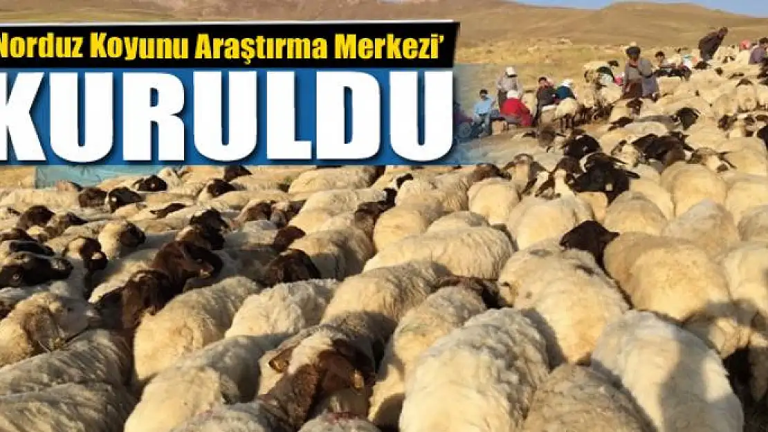 Van'da 'Norduz Koyunu Araştırma Merkezi' kuruldu