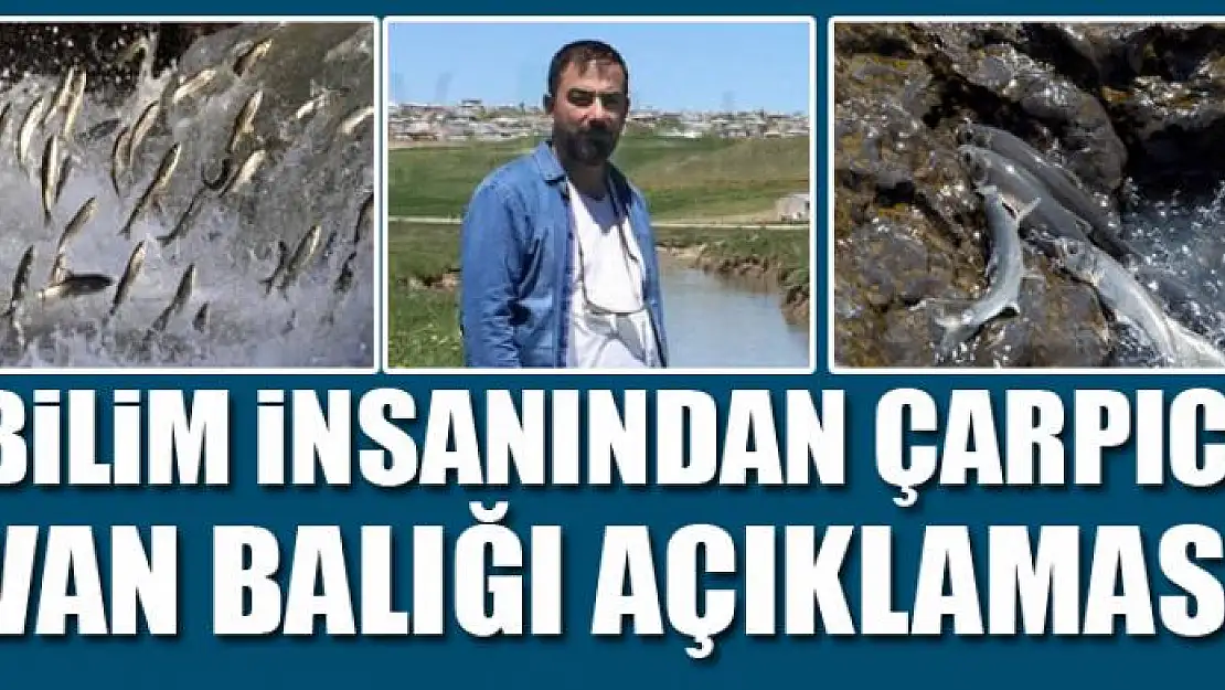 BİLİM İNSANINDAN ÇARPICI VAN BALIĞI AÇIKLAMASI