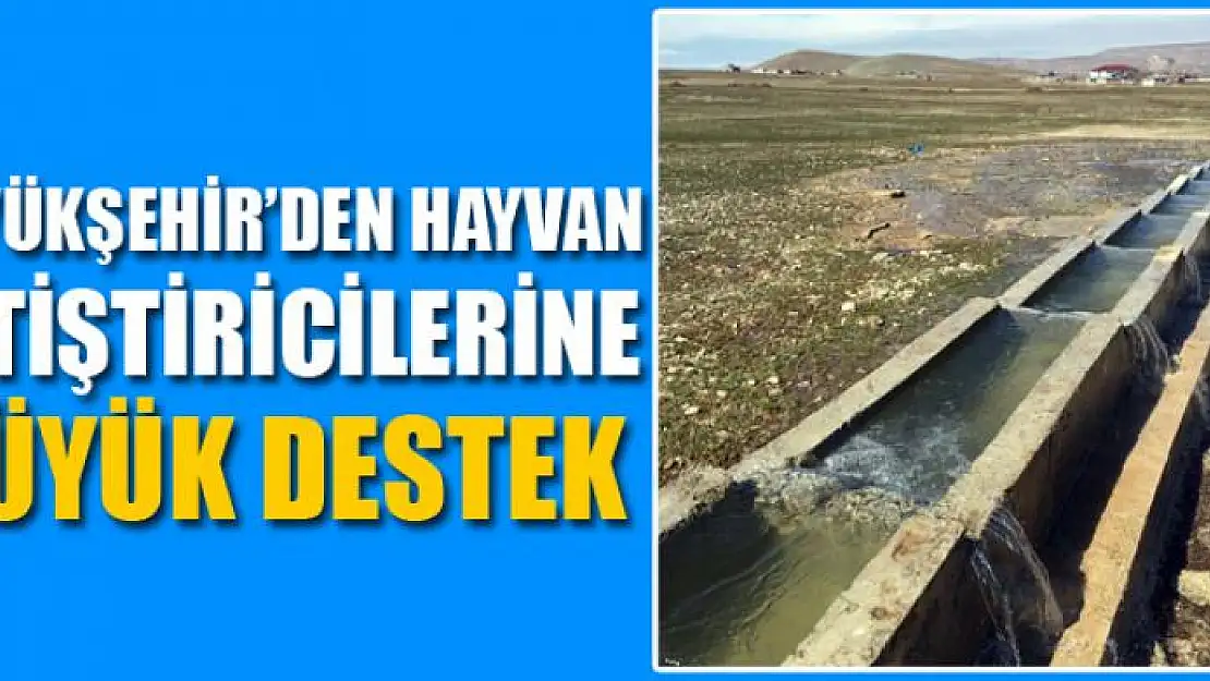 Büyükşehir'den hayvan yetiştiricilerine büyük destek