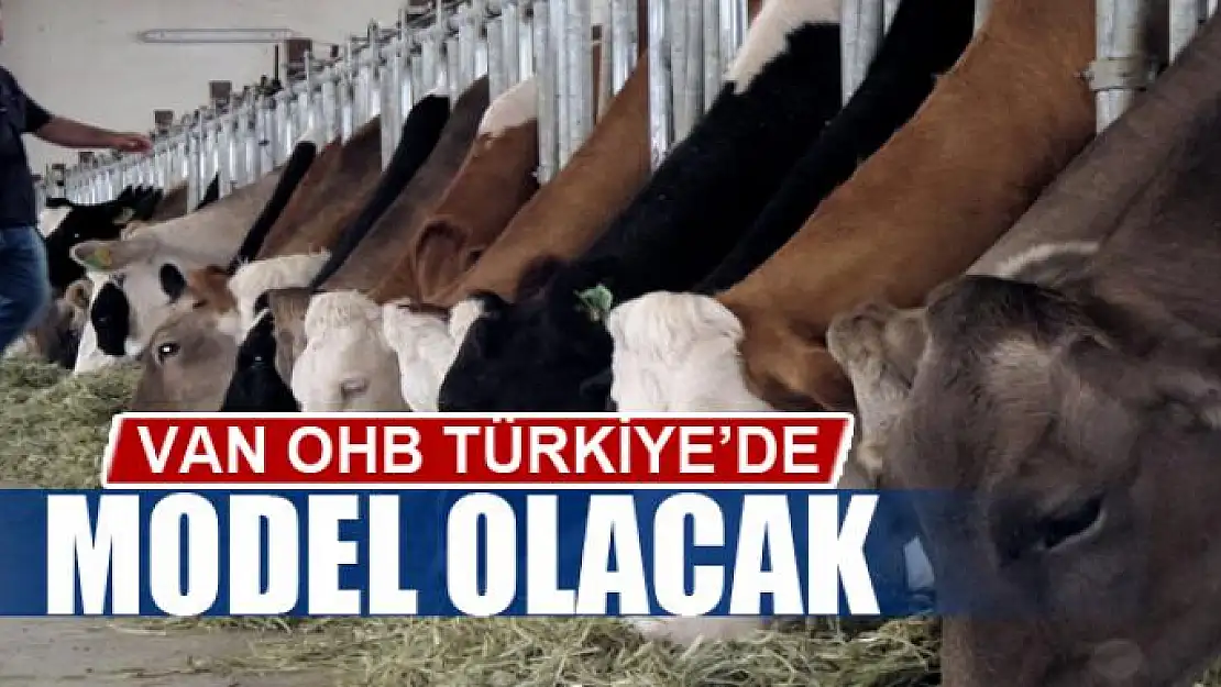 Van OHB Türkiye'de model olacak 