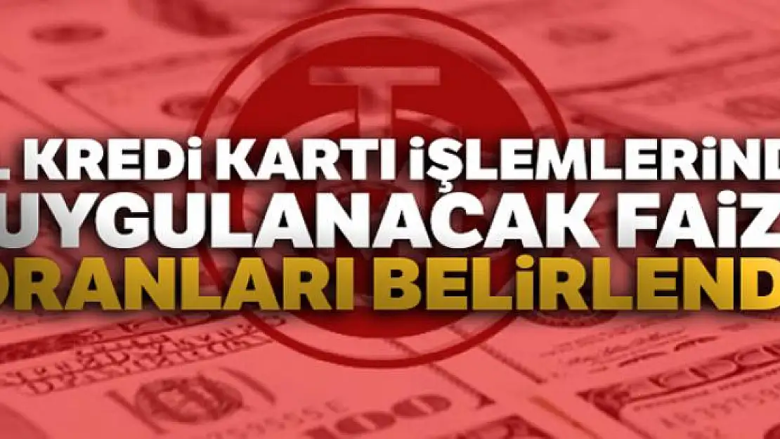 TL kredi kartı işlemlerinde uygulanacak faiz oranları belirlendi