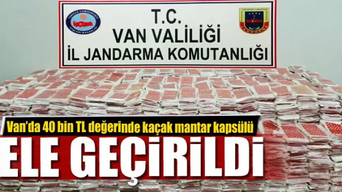 Van'da 40 bin TL değerinde kaçak mantar kapsülü ele geçirildi 