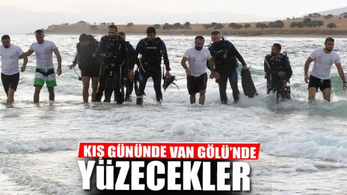 KIŞ GÜNÜNDE VAN GÖLÜ'NDE YÜZECEKLER