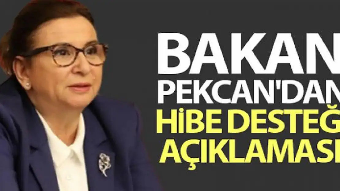 Bakan Pekcan'dan hibe desteği açıklaması