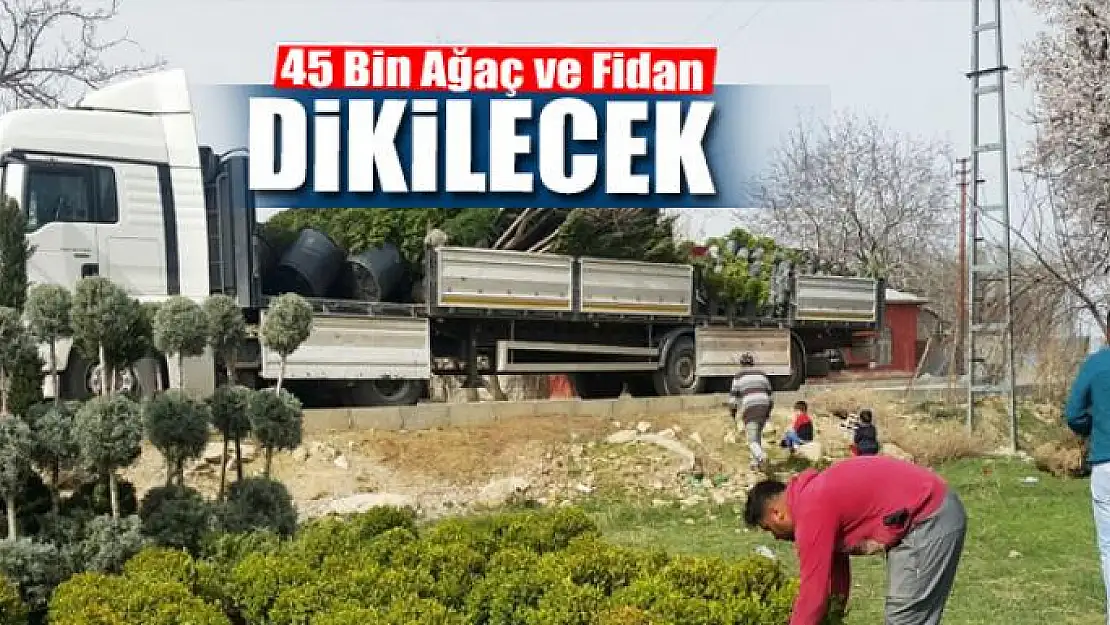 Edremit'e 45 bin ağaç ve fidan dikilecek