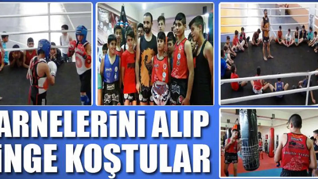 Karnelerini alıp ringe koştular