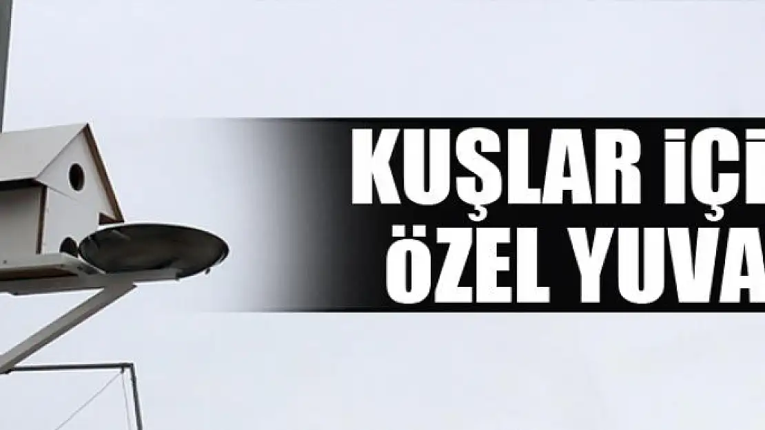 Kuşlar için özel yuva 