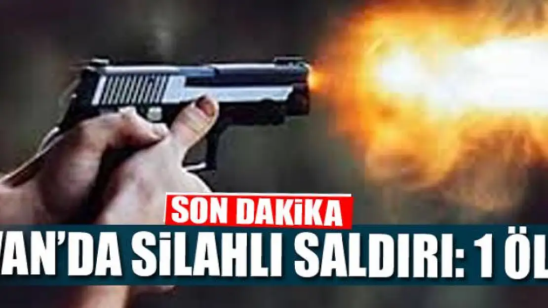 Van'da silahlı saldırı: 1ölü