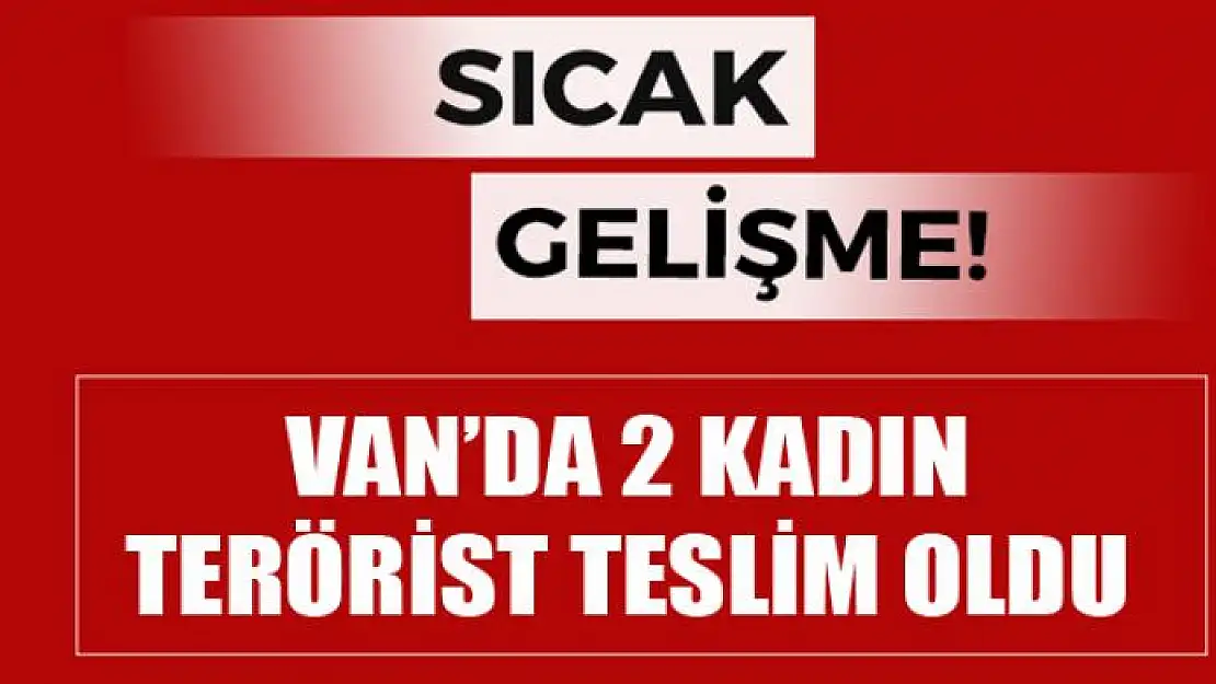 Van'da 2 kadın terörist ikna sonucu teslim oldu