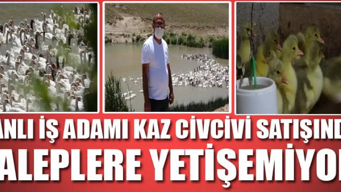 VANLI İŞ ADAMI KAZ CİVCİVİ SATIŞINDA TALEPLERE YETİŞEMİYOR