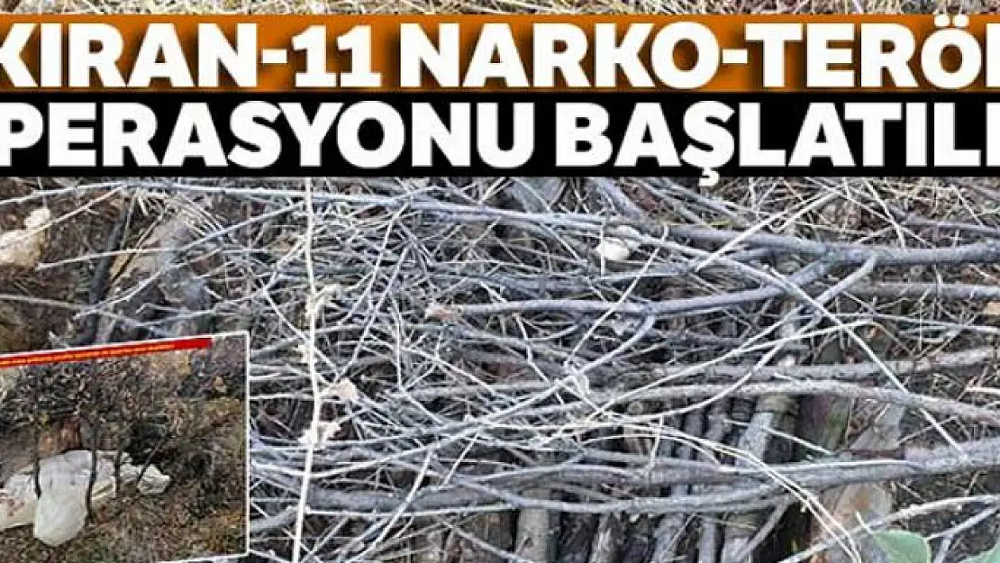 Diyarbakır Lice Bölgesinde 'Kıran-11 Narko-Terör' Operasyonu başlatıldı