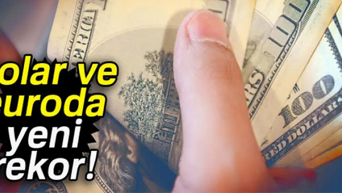 Dolar rekorla başladı