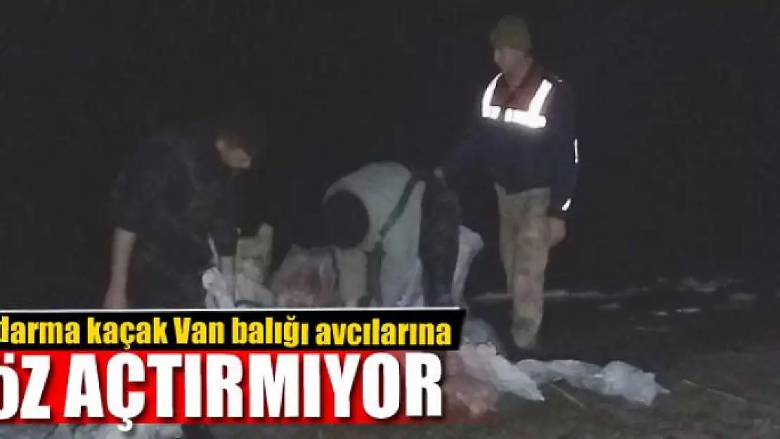 Jandarma kaçak Van balığı avcılarına göz açtırmıyor 