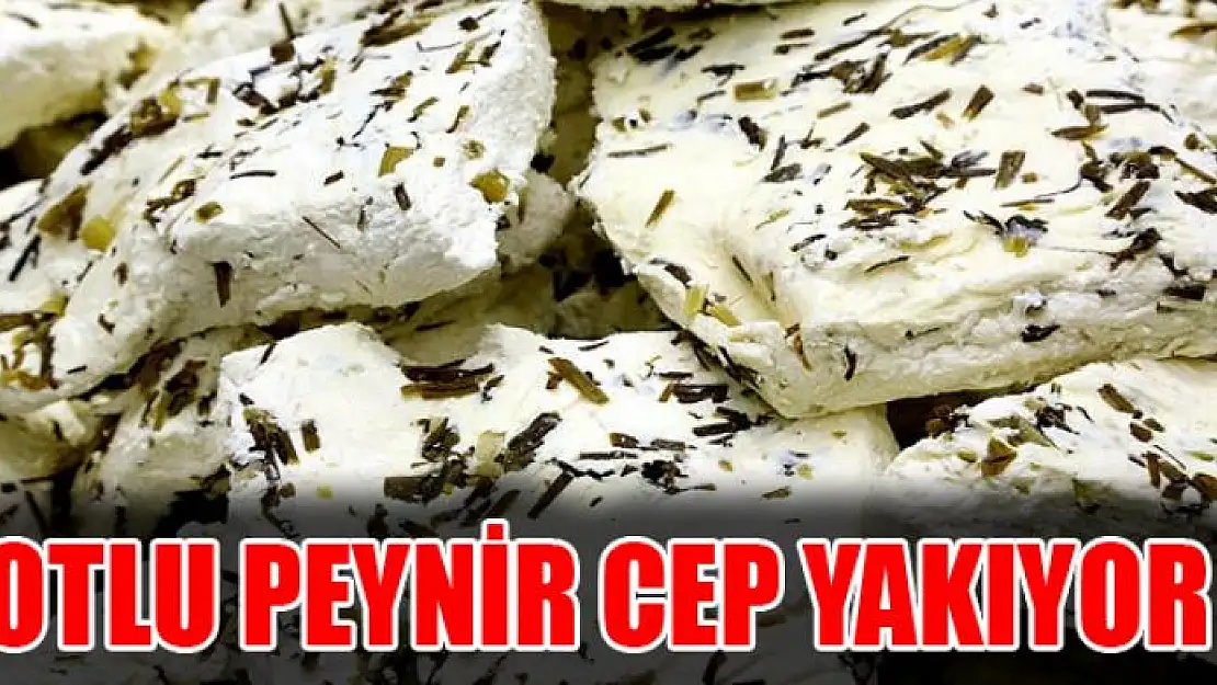 Otlu peynir cep yakıyor