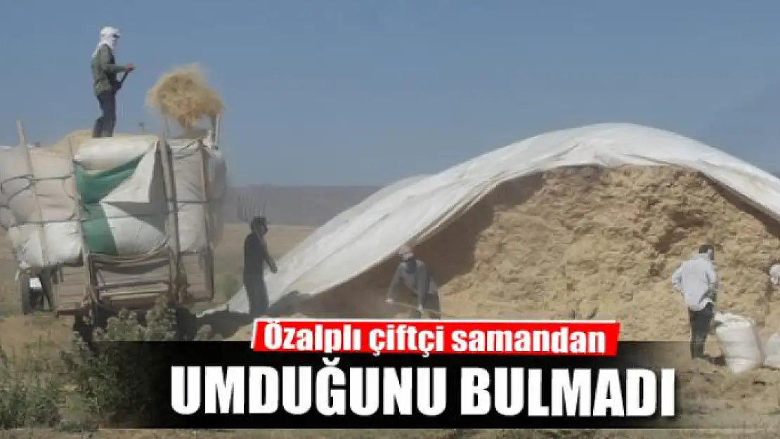 Özalplı çiftçi samandan umduğunu bulmadı