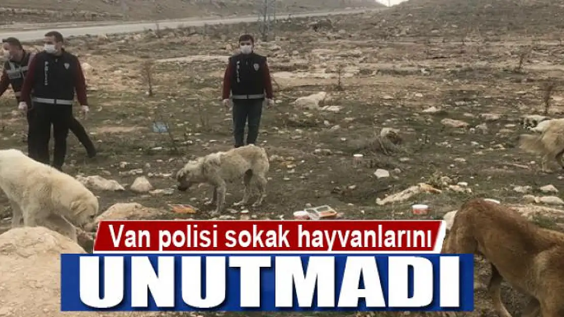 Van polisi sokak hayvanlarını unutmadı