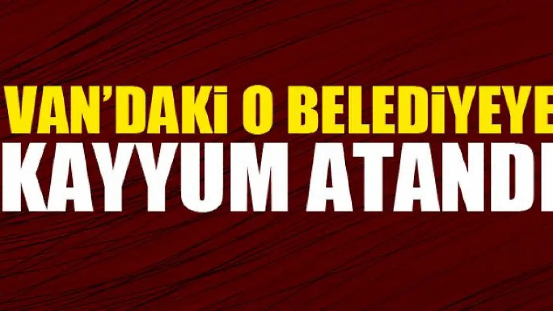 Van'a bir kayyum daha…