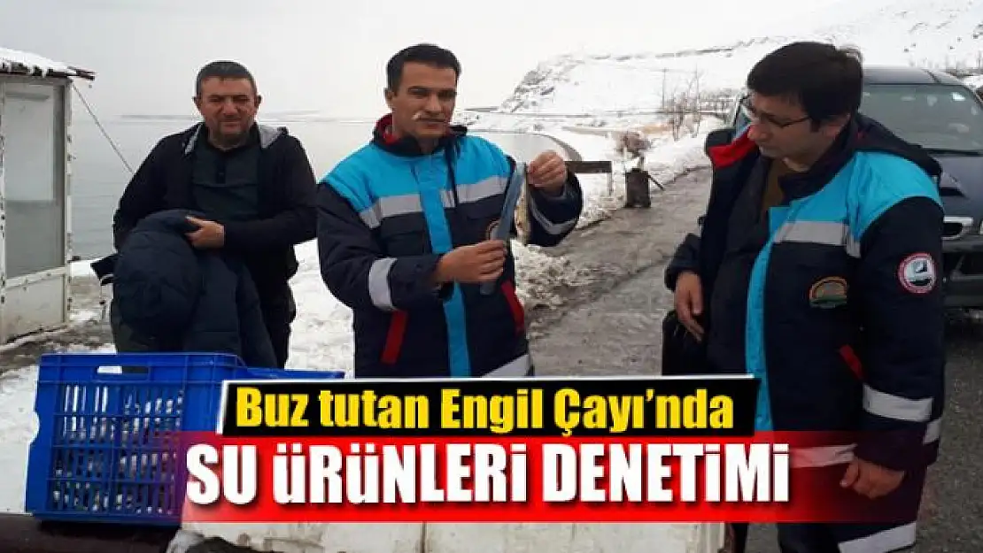 Buz tutan Engil Çayı'nda su ürünleri denetimi 