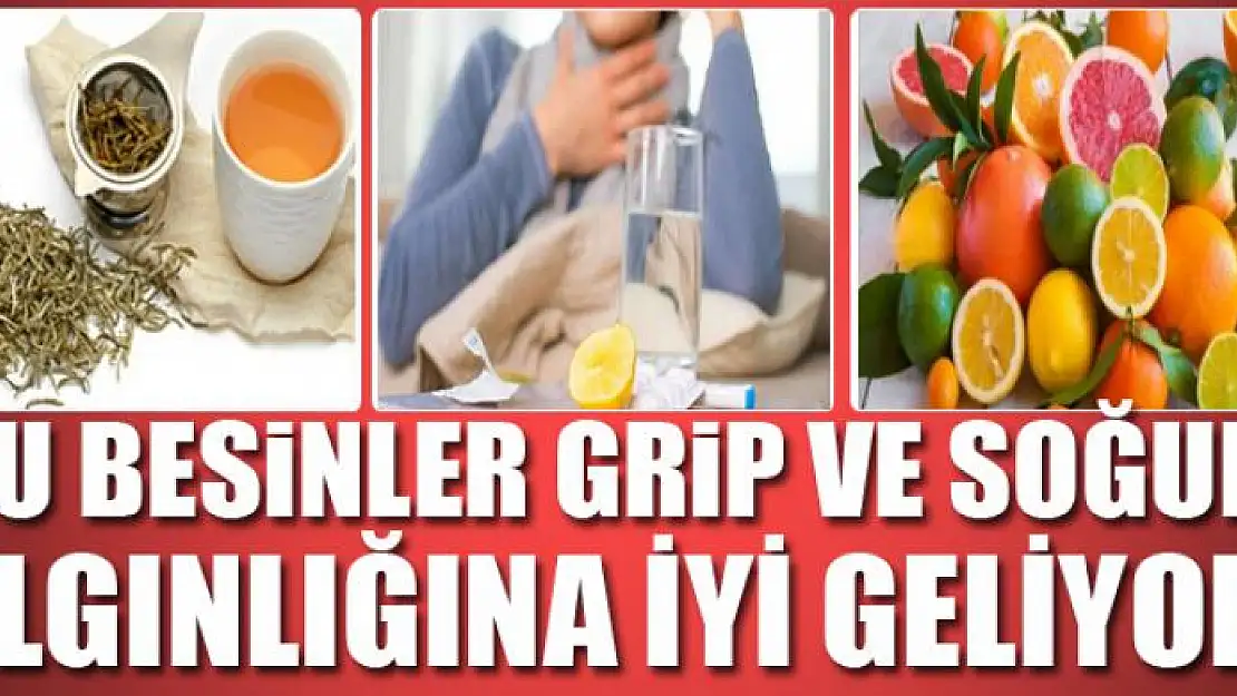 BU BESİNLER GRİP VE SOĞUK ALGINLIĞINA İYİ GELİYOR