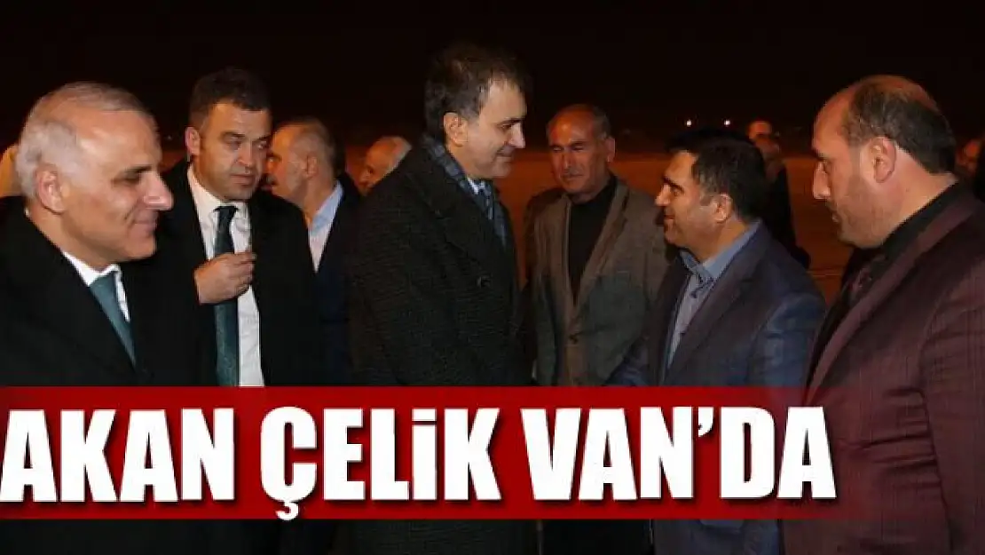 AB Bakanı Çelik Van'da 