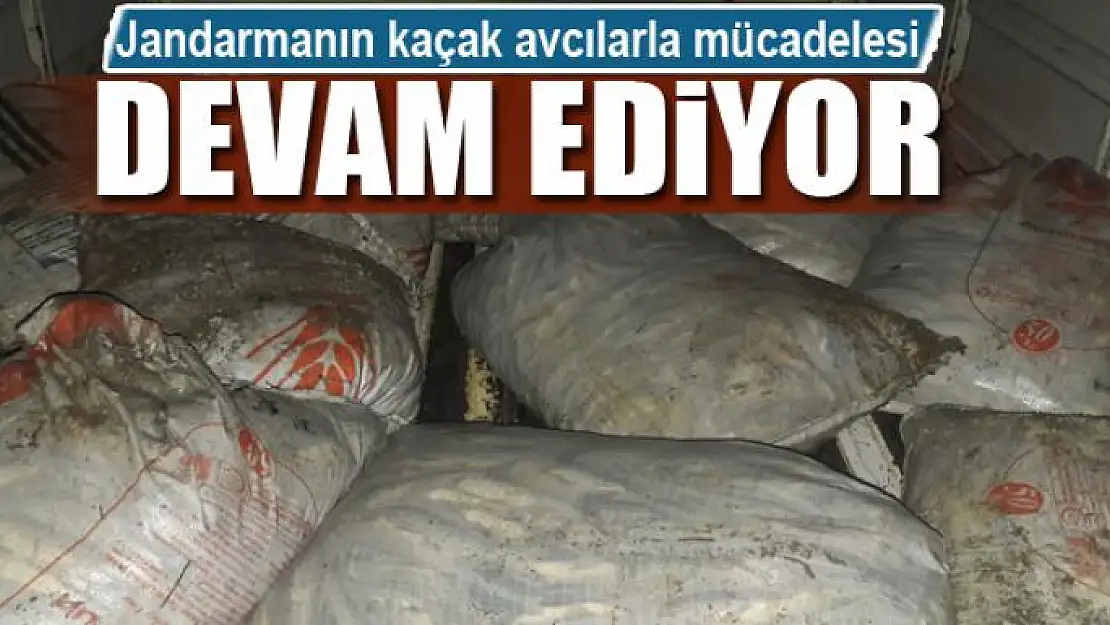 Jandarmanın kaçak avcılarla mücadelesi devam ediyor