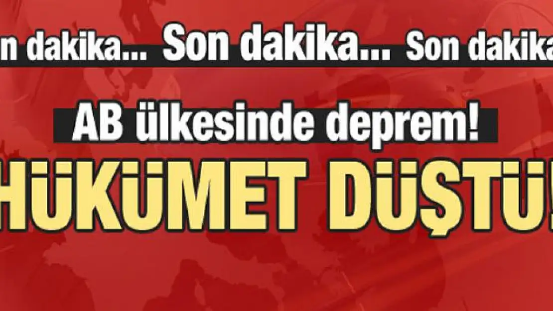 AB ülkesinde deprem! Hükümet düştü