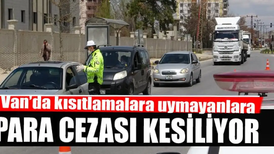 Van'da kısıtlamalara uymayanlara para cezası kesiliyor