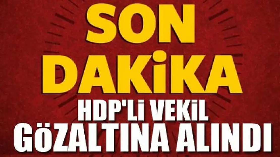 HDP'li vekil son dakika gözaltına alındı