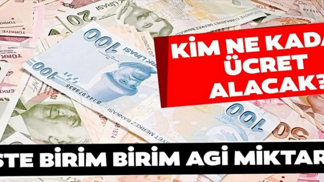 2020 AGİ zammı ne kadar oldu? Kim ne kadar asgari ücret ve AGİ alacak?