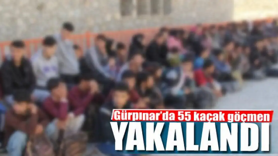 Gürpınar'da 55 kaçak göçmen yakalandı