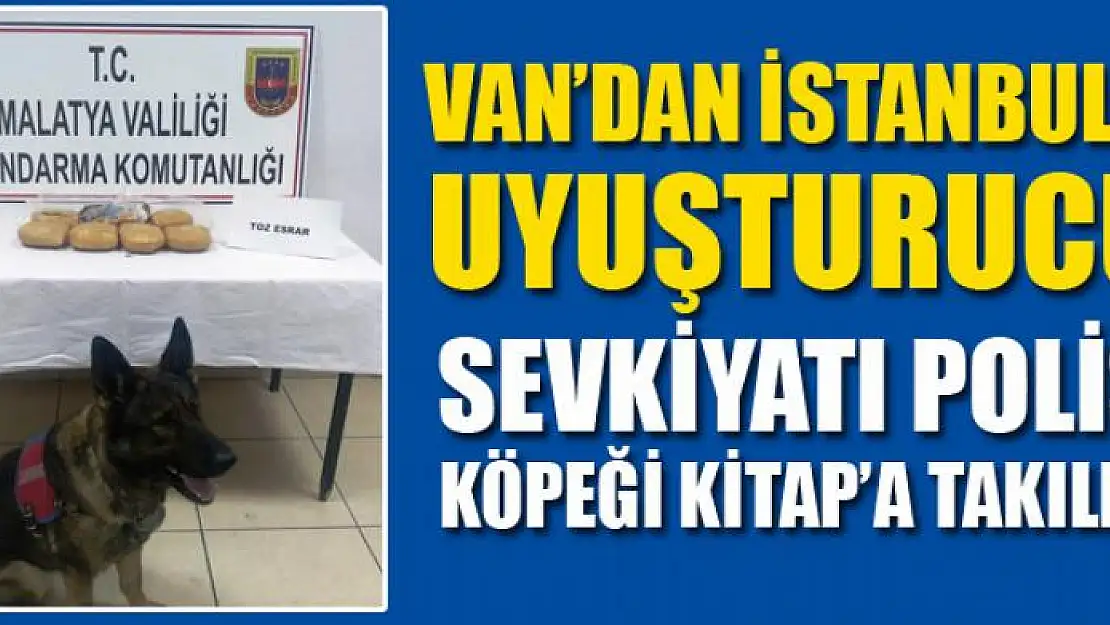 Van'dan İstanbul'a uyuşturucu sevkiyatı polis köpeği Kitap'a takıldı