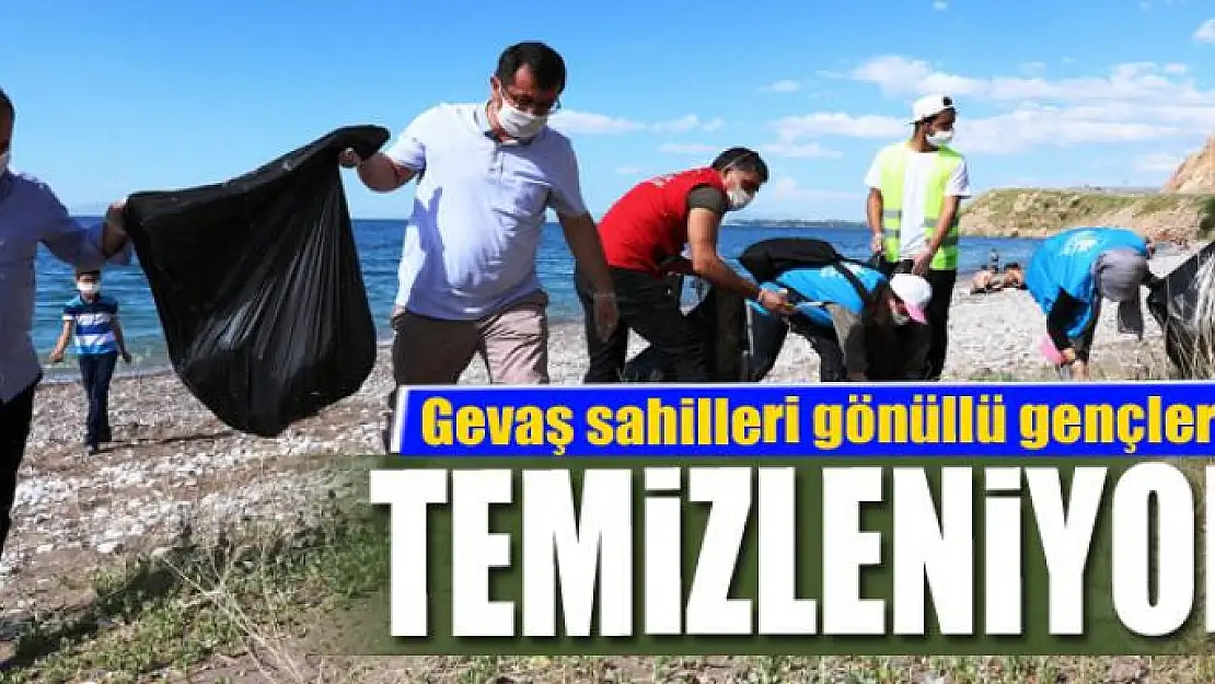 Gevaş sahilleri gönüllü gençlerle temizleniyor