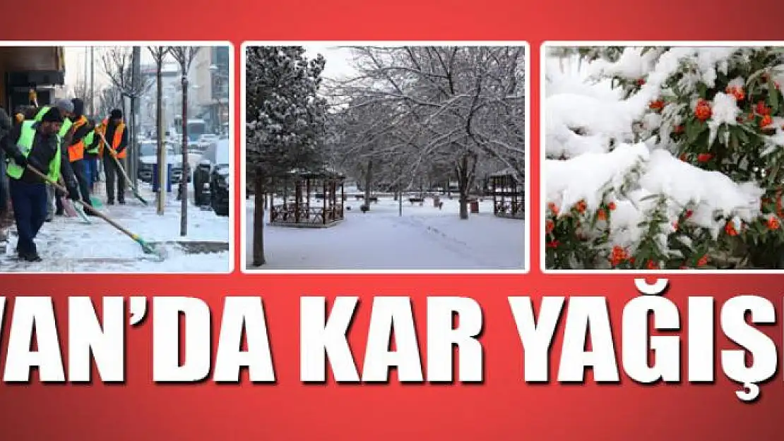 Van'da kar yağışı