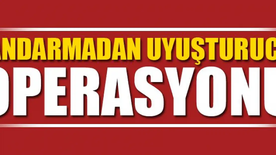 Jandarmadan uyuşturucu operasyonu