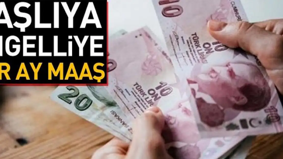 Yaşlıya engelliye her ay maaş 