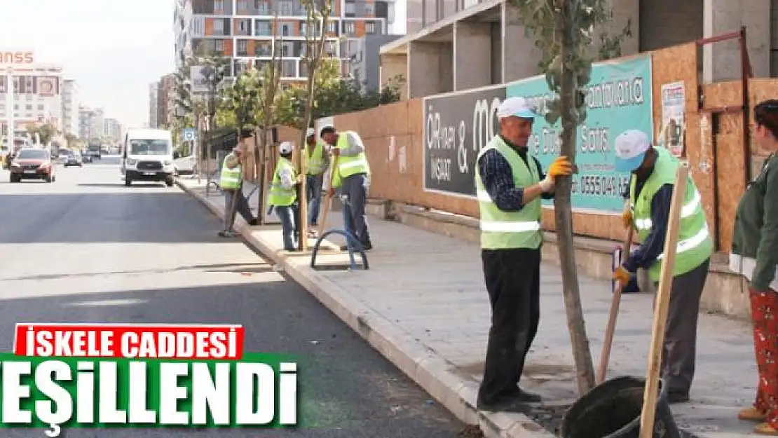 İSKELE CADDESİ YEŞİLLENDİ