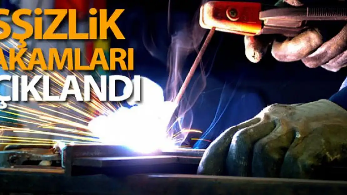 İsşizlik rakamları açıklandı