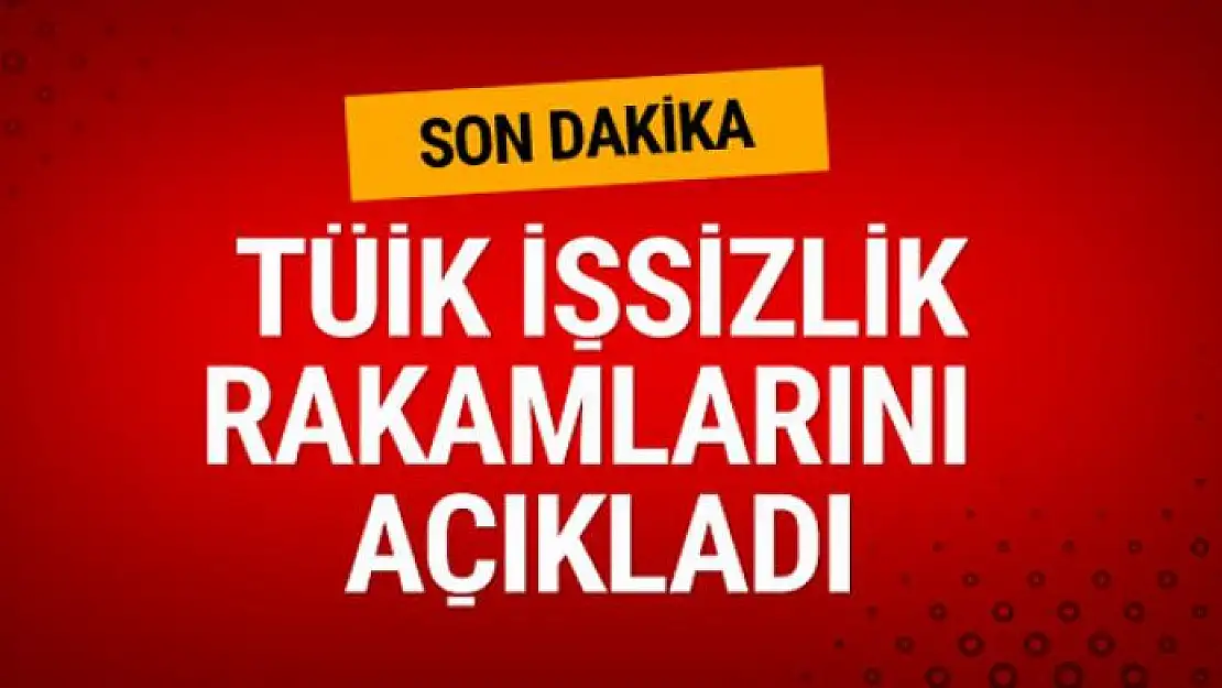 TÜİK 2017 nisan-mayıs-haziran işsizlik rakamlarını açıkladı