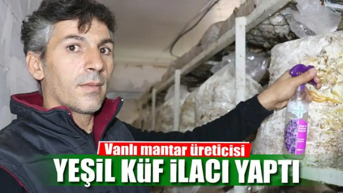 Vanlı mantar üreticisi yeşil küf ilacı yaptı