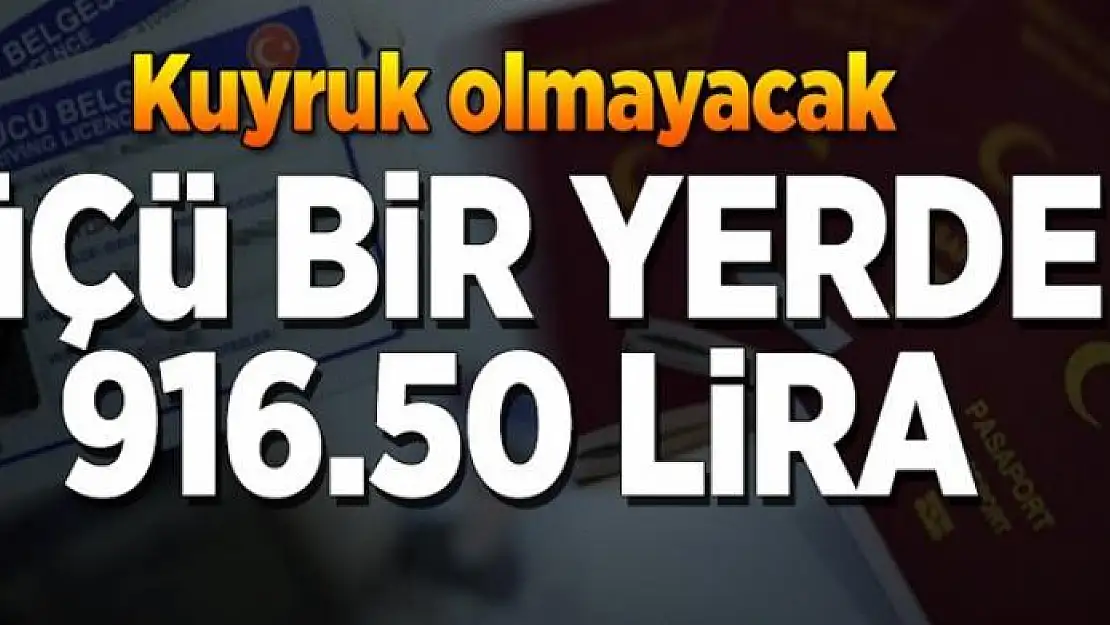 3'ü bir yerde 916.50 lira 