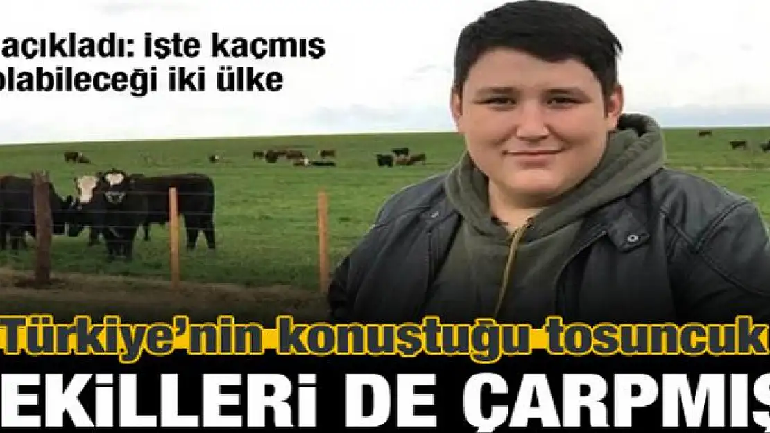 Tosuncuk milletvekillerini de çarpmış!