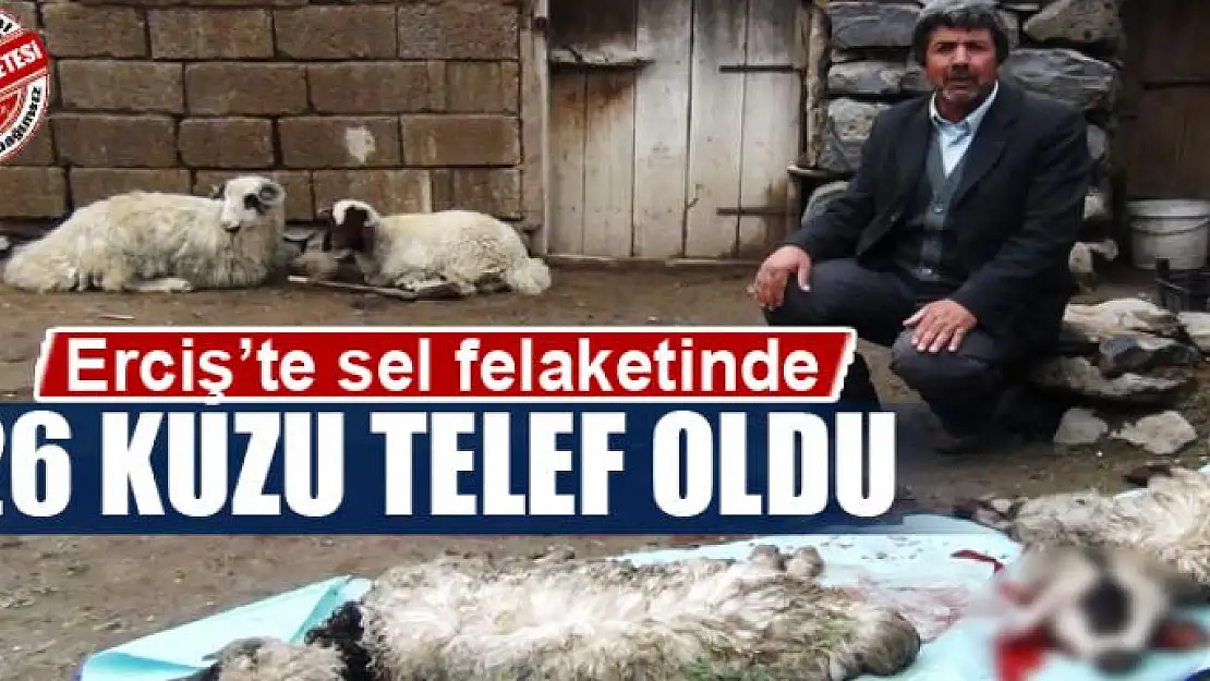 Erciş'te sel felaketinde 26 kuzu telef oldu